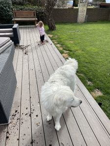 Composite Decks vs Traditional Timber Decks